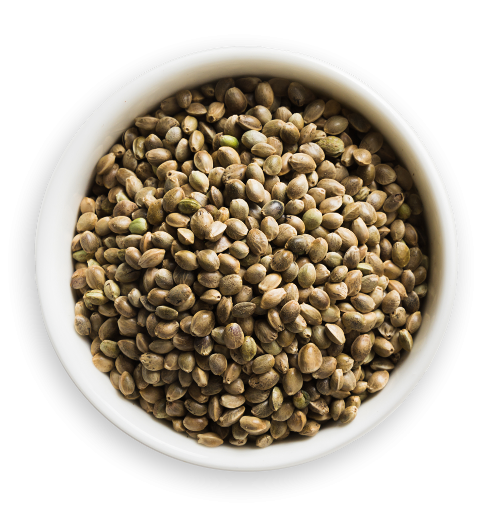 Hemp seeds